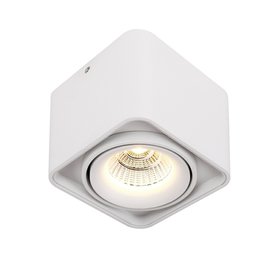 Dobac BATUMI SINGLE HEAD stropní LED svítidlo XD2091-WH