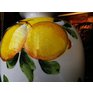 Kolarz Giardino Lemone 0014.71