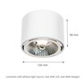 Bílé stropní svítidlo CHLOE s paticí GU10 a LED žárovku AR111