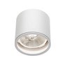 Bílé stropní světlo do koupelny na strop s IP65 na LED žárovku GU10/ AR111
